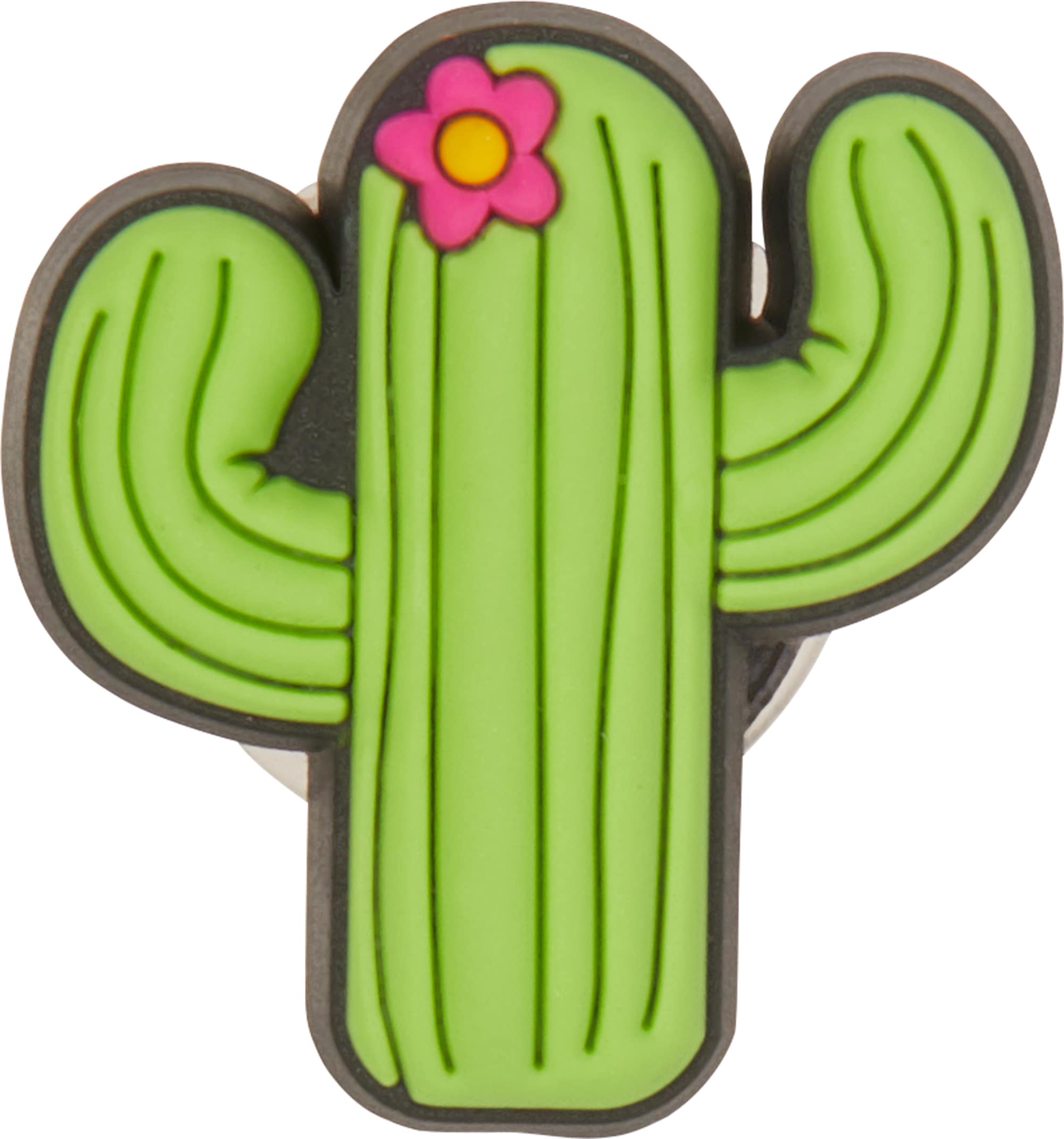 Jibbitz cactus hot sale