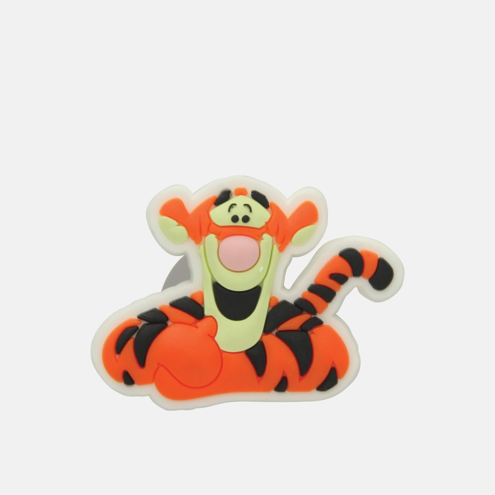 Tiger Face Charm